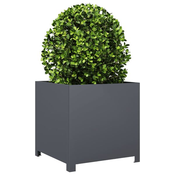 Viser 3 av 10 produktbilde(r)