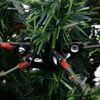 Miniatyrbilde av produktet 7 av 8