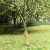 Miniatyrbilde av produktet 2 av 7