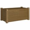 vidaXL Plantekasser 2 stk honningbrun 60x31x31 cm heltre furu