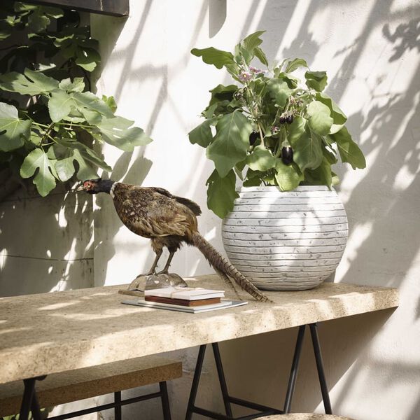 Capi Plantevase Nature Row kule 40x32 cm elfenben KRWI270