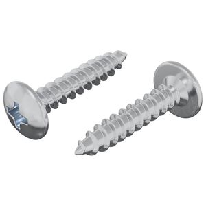 vidaXL Selvgjengende Spiker 2 pcs Sinkbelagt 4 x 20 mm St&aring;l
