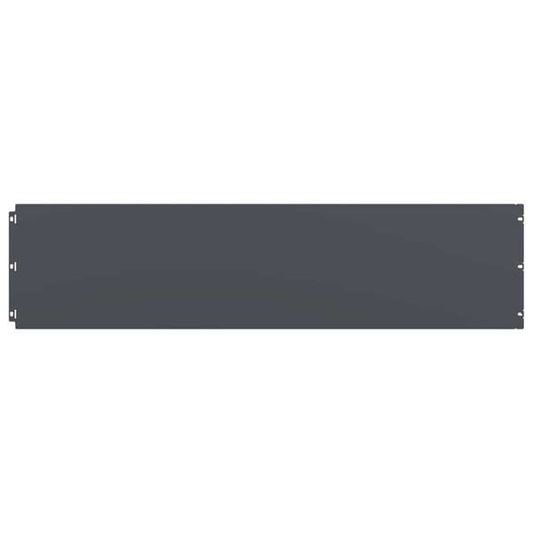 vidaXL Plenkanter 10 stk antrasitt 25x103 cm kaldvalset st&aring;l