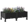 Miniatyrbilde av produktet 3 av 8