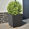 Miniatyrbilde av produktet 2 av 12
