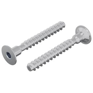 vidaXL Skrue 2 pcs Sinkbelagt 5 x 40 mm Jern