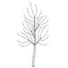 vidaXL Vegghengt LED-juletre 150 cm 140 LED-lys Kaldhvit St&aring;l Svart