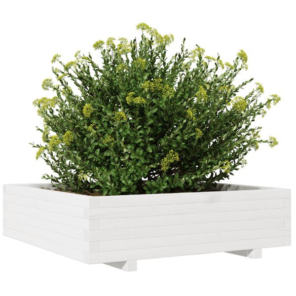 Viser 4 av 10 produktbilde(r)