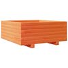 vidaXL Plantekasse voksbrun 60x60x26,5 cm heltre furu