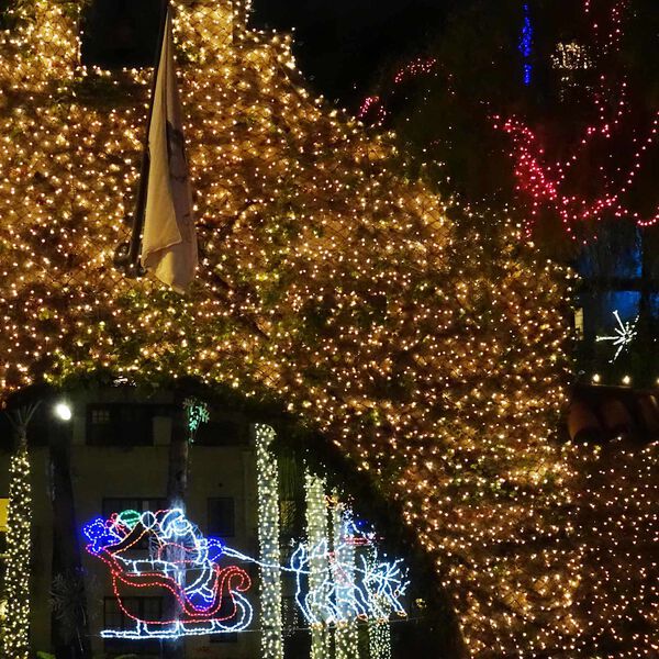 vidaXL Led Nett M&oslash;rkegr&oslash;nn