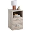 Sand_oak