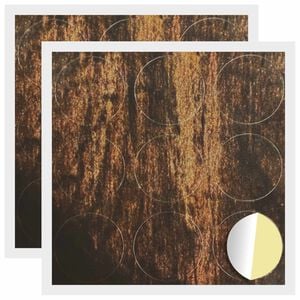 vidaXL Klebende skrue deksel 2 pcs Gammelt tre &Oslash; 20 x 0,5 mm