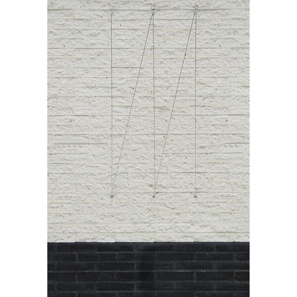 Nature Tr&aring;d-espaliesett for klatreplanter 2 stk