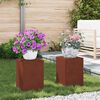 vidaXL Planteholder 2 pcs Rusten 24 x 24 x 35 cm Cortenst&aring;l