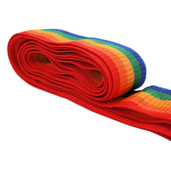 vidaXL Bagasjebelte 4,2 m