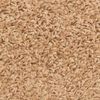 vidaXL Trappematter 15 stk 56x17x3 cm beige halvrund