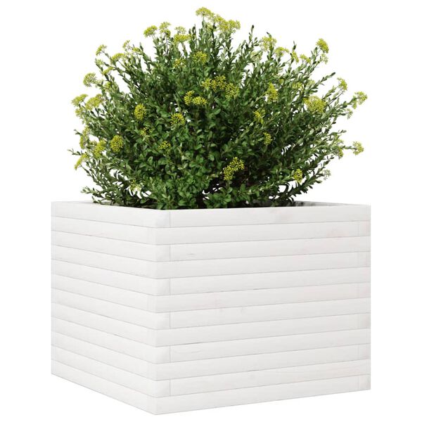 vidaXL Plantekasse hvit 60x60x45,5 cm heltre furu