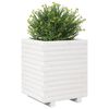 vidaXL Plantekasse hvit 40x40x49,5 cm heltre furu