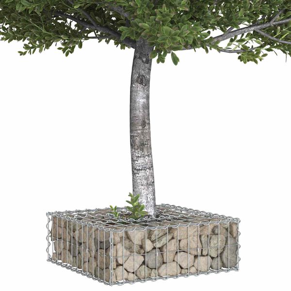 vidaXL Gabion hevet seng s&oslash;lv 60 x 60 x 20 cm Galvanisert St&aring;l