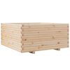 vidaXL Plantekasse 100x100x49,5 cm heltre furu