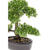 Emerald Kunstig fiken mini bonsai grønn 32 cm 420002