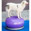 FitPAWS Balanseball til kj&aelig;ledyr TRAX Donut 55 cm lilla