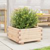 vidaXL Plantekasse 50x50x26,5 cm heltre furu