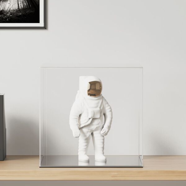 vidaXL Visningsboks gjennomsiktig 40x36x35 cm akryl