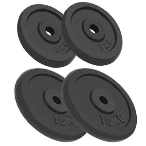 vidaXL Vektskiver 4 stk 2x10 kg + 2x5 kg st&oslash;pejern