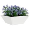 vidaXL Hageblomsterpotte 5 pcs Hvit 40 x 40 x 15 cm Kaldvalsest&aring;l