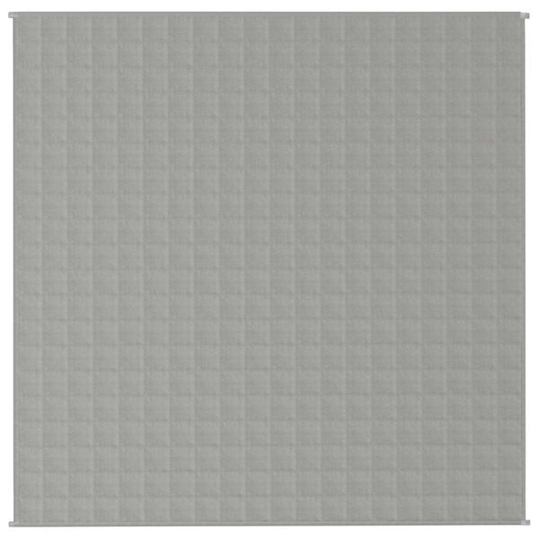 vidaXL Vektdyne grå 200x200 cm 9 kg stoff