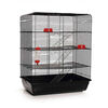 Beeztees Rottebur Remy svart 58x38x71 cm 266815