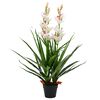 vidaXL Kunstig cymbidium orkide med potte 100 cm gr&oslash;nn