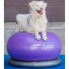 FitPAWS Balanseball til kj&aelig;ledyr TRAX Donut 55 cm lilla