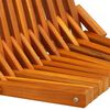 vidaXL Foldbare Hage Stoler 2 pcs Brun 56 x 69 x 84 m heltre akasie