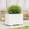 Miniatyrbilde av produktet 3 av 10