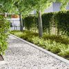 Miniatyrbilde av produktet 2 av 7