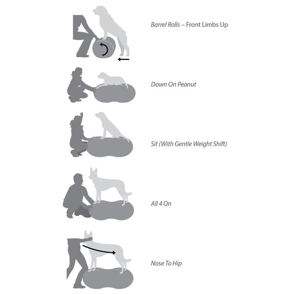 FitPAWS Balanseplattform kj&aelig;ledyr Trax Peanut 60 cm bl&aring;