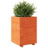 vidaXL Plantekasse voksbrun 50x50x72,5 cm heltre furu