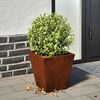 vidaXL Hageplanter 2 stk 30x30x30 cm oksidert st&aring;l
