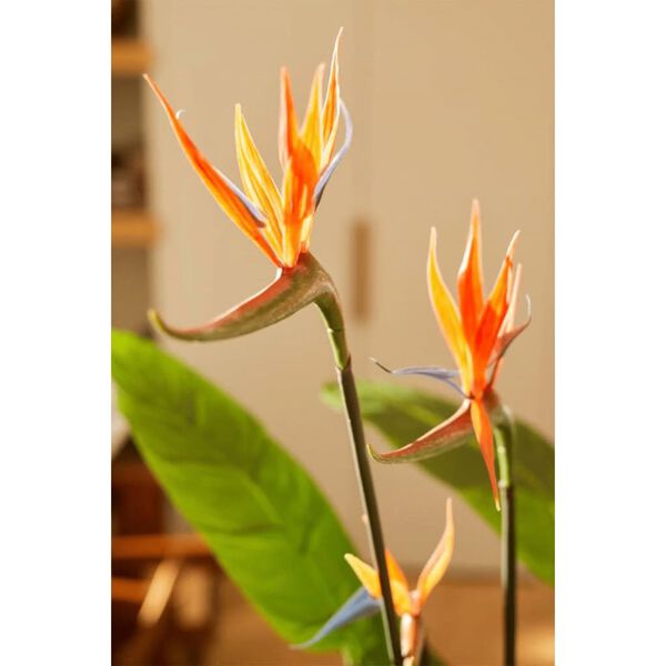 Emerald Kunstig plante Strelitzia i potte med blomster 120 cm