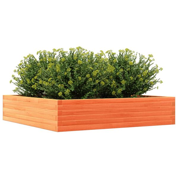 Viser 4 av 10 produktbilde(r)