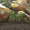 Miniatyrbilde av produktet 2 av 5