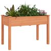 vidaXL Plantekasse med foring brun 118x59x76 cm heltre gran