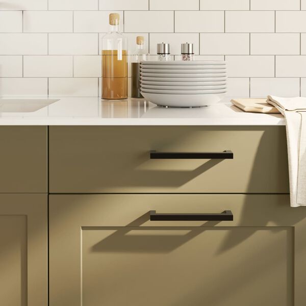 vidaXL Skaphåndtak 10 stk svart 160 mm rustfritt stål