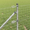 Miniatyrbilde av produktet 4 av 11