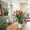 LECHUZA Blomsterkasse ORCHIDEA ALL-IN-ONE matt hvit
