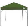 vidaXL Canopy telt gr&oslash;nn 243 x 243 x 251 cm stoff