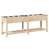 vidaXL Hageblomsterpotte Beige 203,5 x 53 x 76,5 cm Massiv Furu Tre