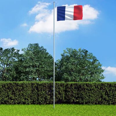 vidaXL Fransk flagg og stang aluminium 4 m